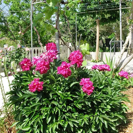 By The Sea Barbat, Rab - 24217 *